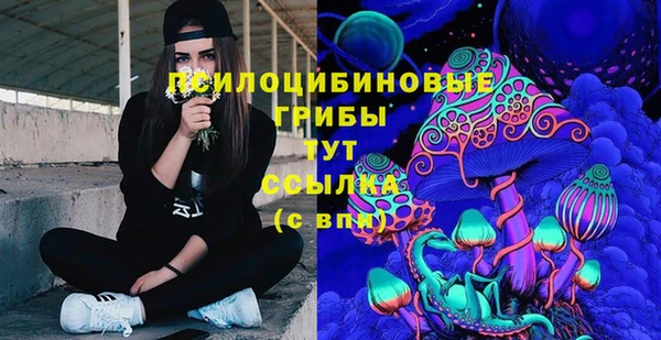 мяу мяу мука Арсеньев