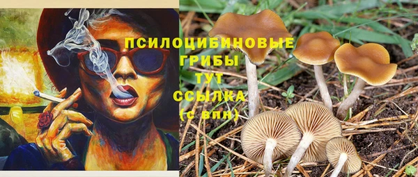 СК Аркадак