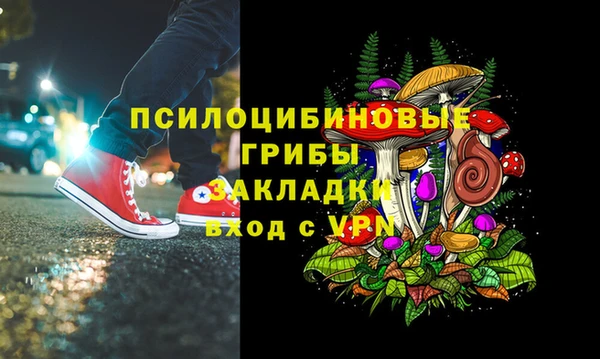 СК Аркадак