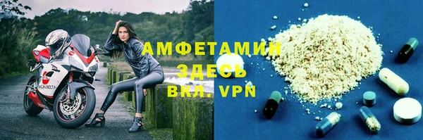 спайс Богданович