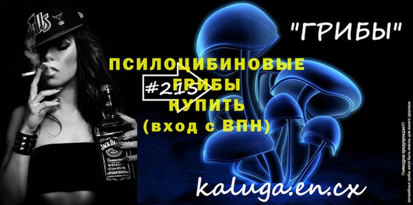 СК Аркадак